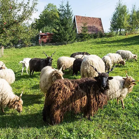 Rekreacne База отдыха *